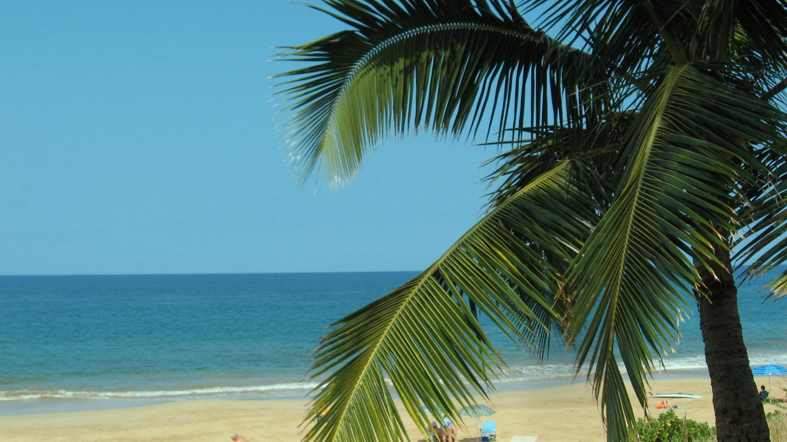 Banner Image 3