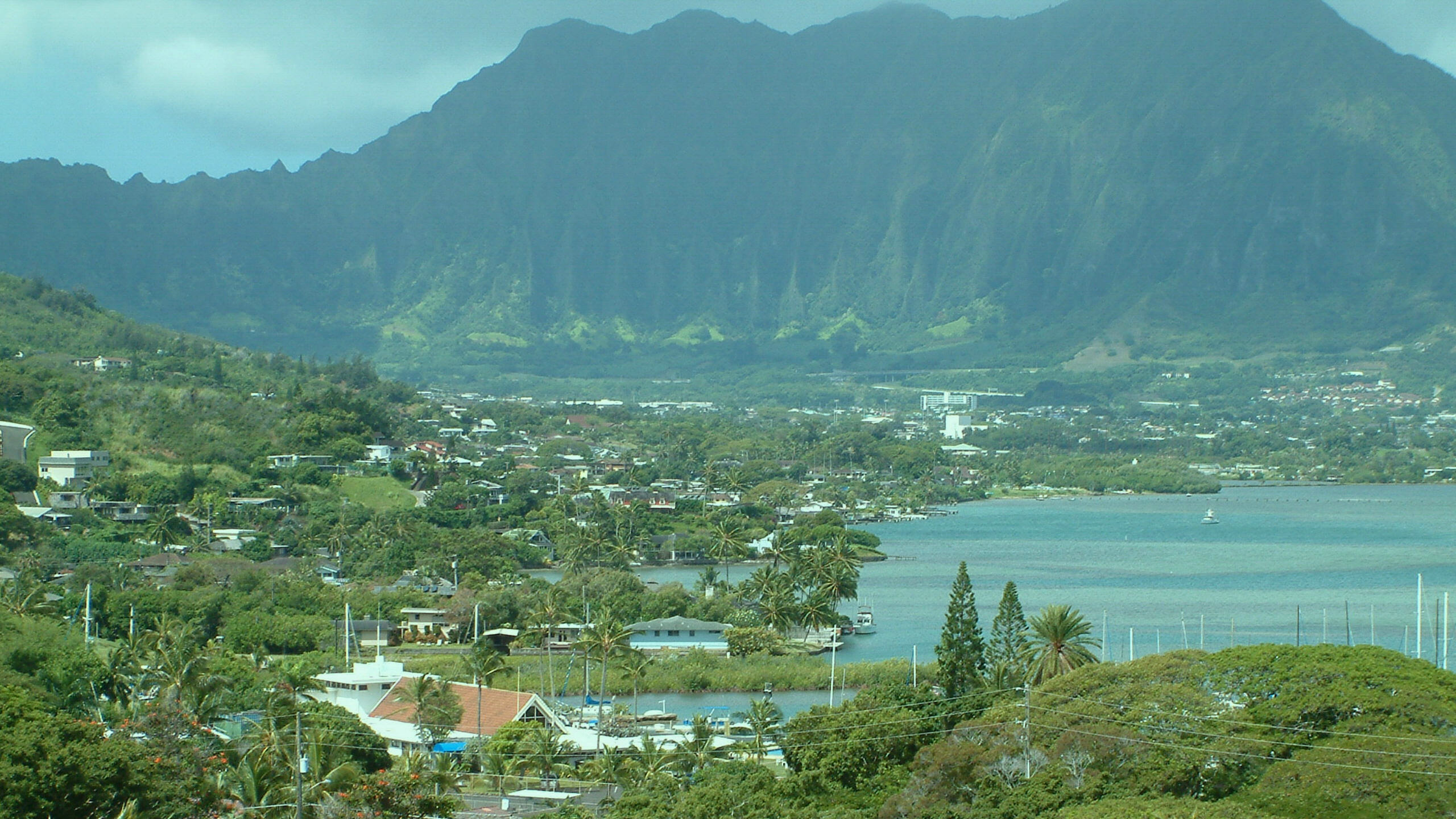 Banner Image 5
